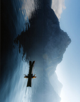 PHILIPP MITTERLEHNER