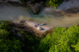 PHILIPP MITTERLEHNER