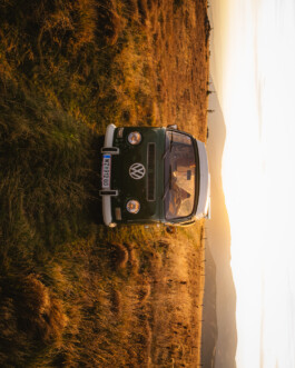 PHILIPP MITTERLEHNER