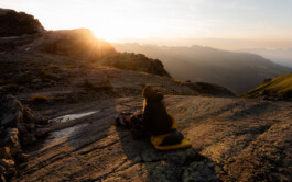 PHILIPP MITTERLEHNER