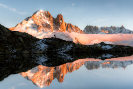 PHILIPP MITTERLEHNER