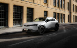 PHILIPP MITTERLEHNER