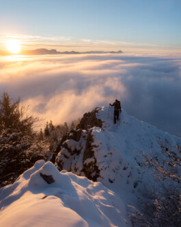 PHILIPP MITTERLEHNER