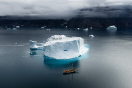 PHILIPP MITTERLEHNER