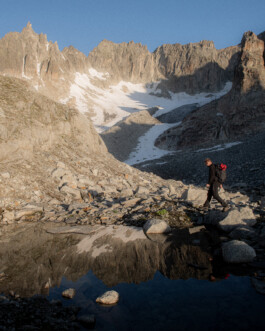 PHILIPP MITTERLEHNER